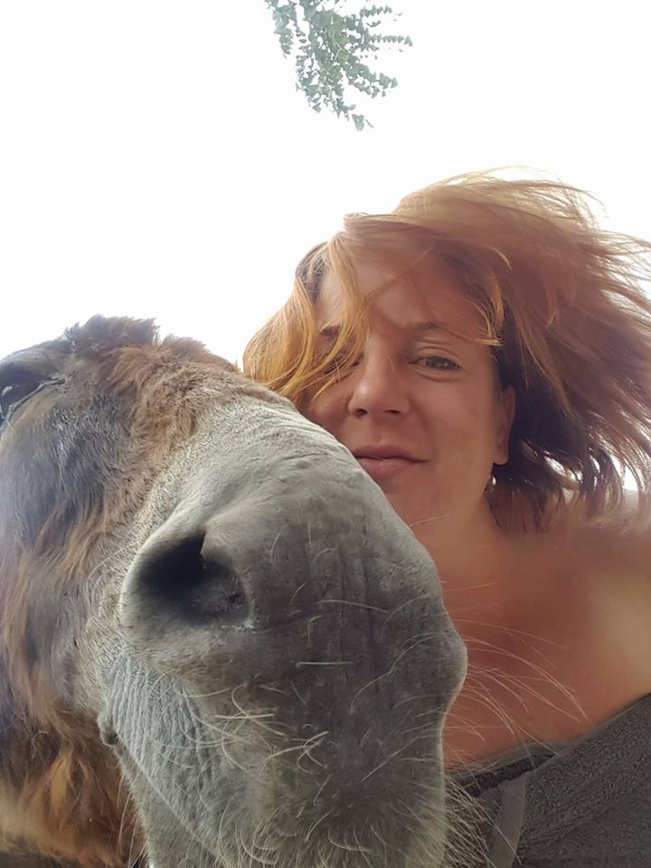 woman-takes-a-selfie-with-a-donkey