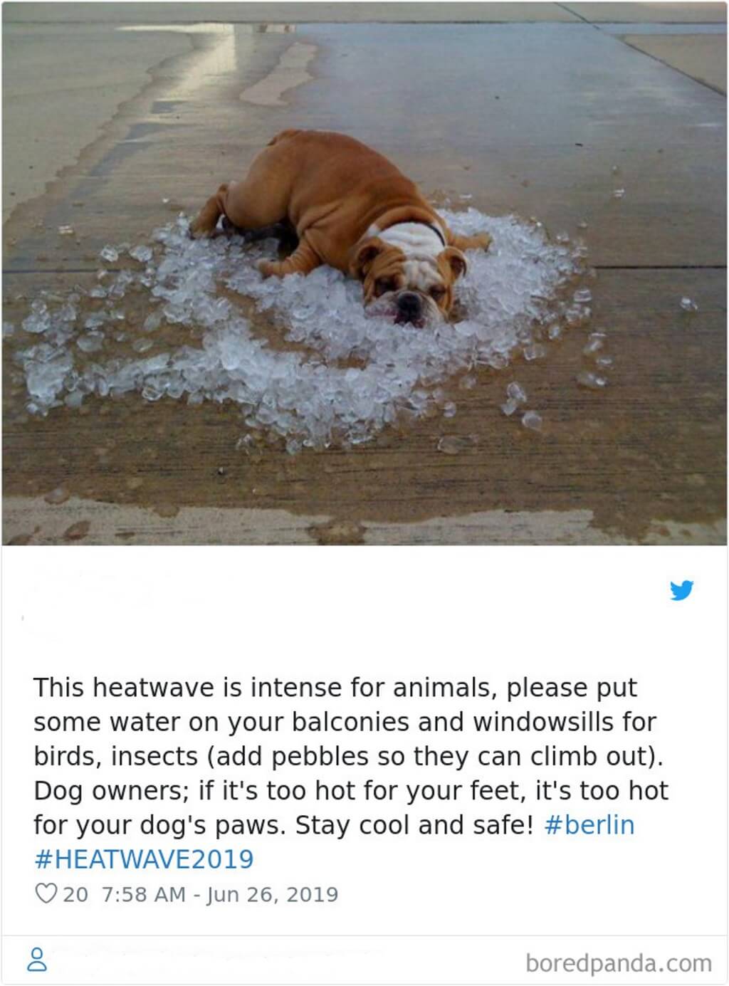 blog_we're-having-a-heatwave