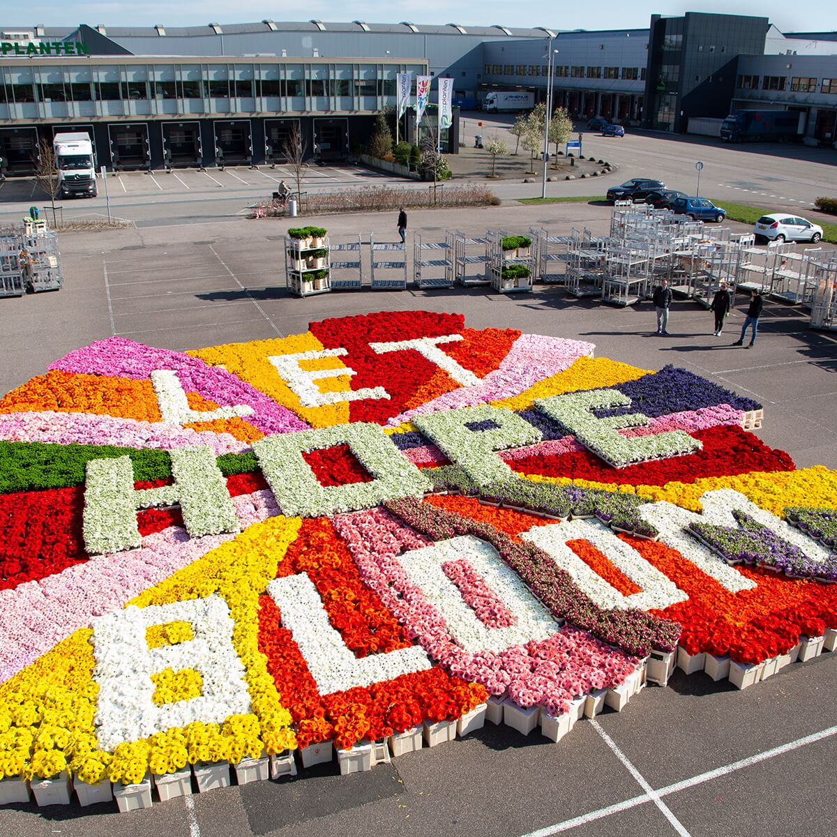 kunstwerk-van-tulpen-getiteld-let-hope-bloom