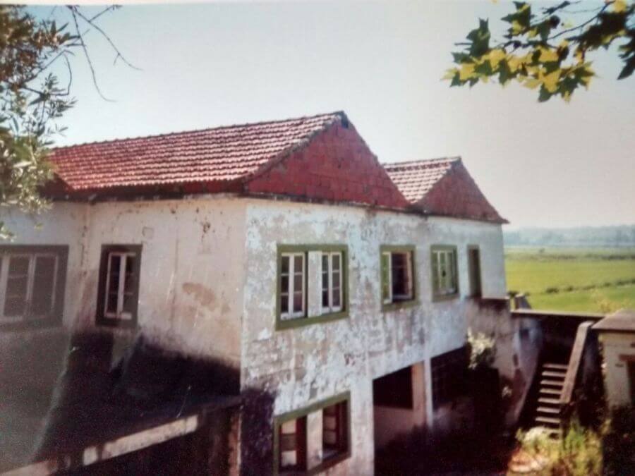 the bathhouse in 1999 after 25 years of neglect